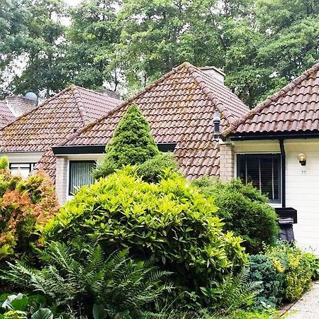 Ervaar Vredige Rust In Deze Charmante Knusse Bungalow Posterholt Luaran gambar